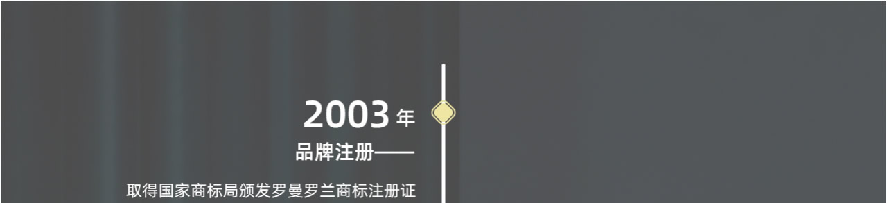 2003年品牌注册