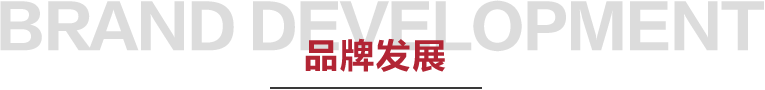 南方生活家纺发展历程